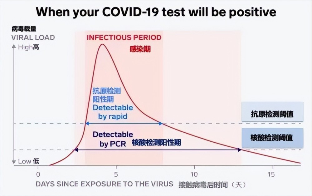 新冠陽了后，抗原需要天天做嗎？一看你就明白